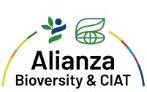 Alianza